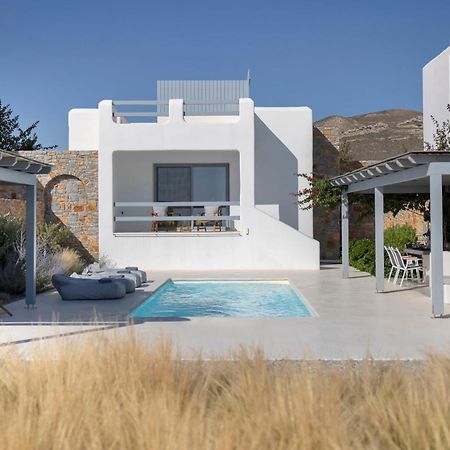 Villa Dione, Private Pool & Seaview By Naxos Dunes Kastrákion Zewnętrze zdjęcie